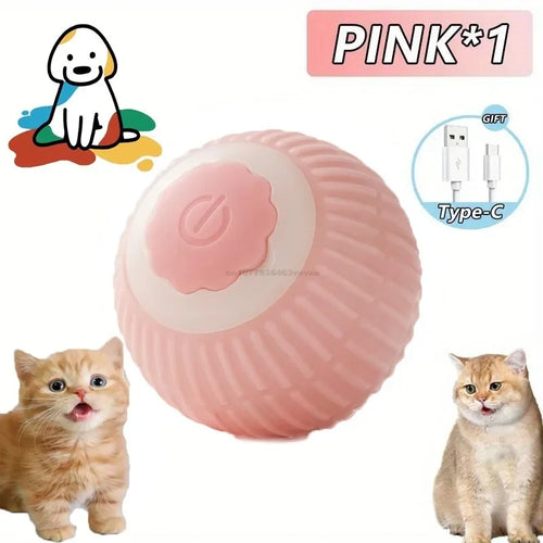 Cat Toys Interactive Ball Cat Accessories Interactive Cat Ball Kitten
