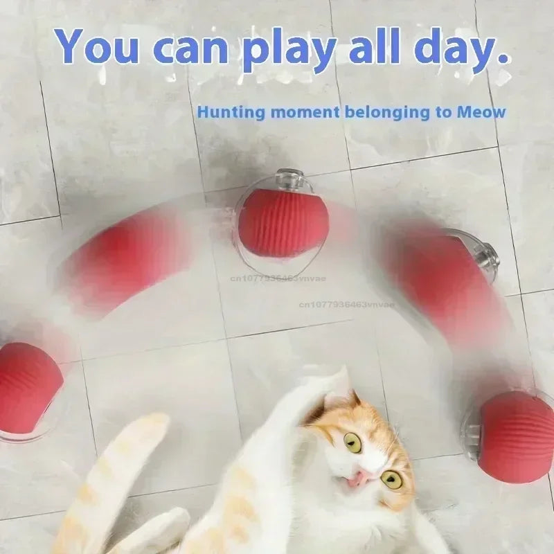 Cat Toys Interactive Ball Cat Accessories Interactive Cat Ball Kitten
