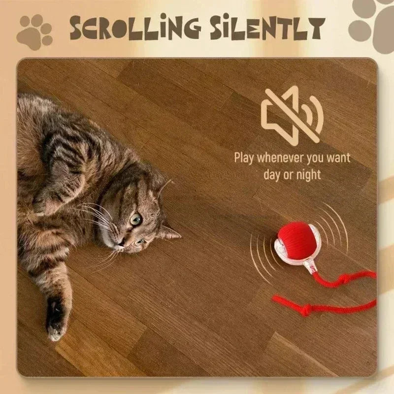 Cat Toys Interactive Ball Cat Accessories Interactive Cat Ball Kitten