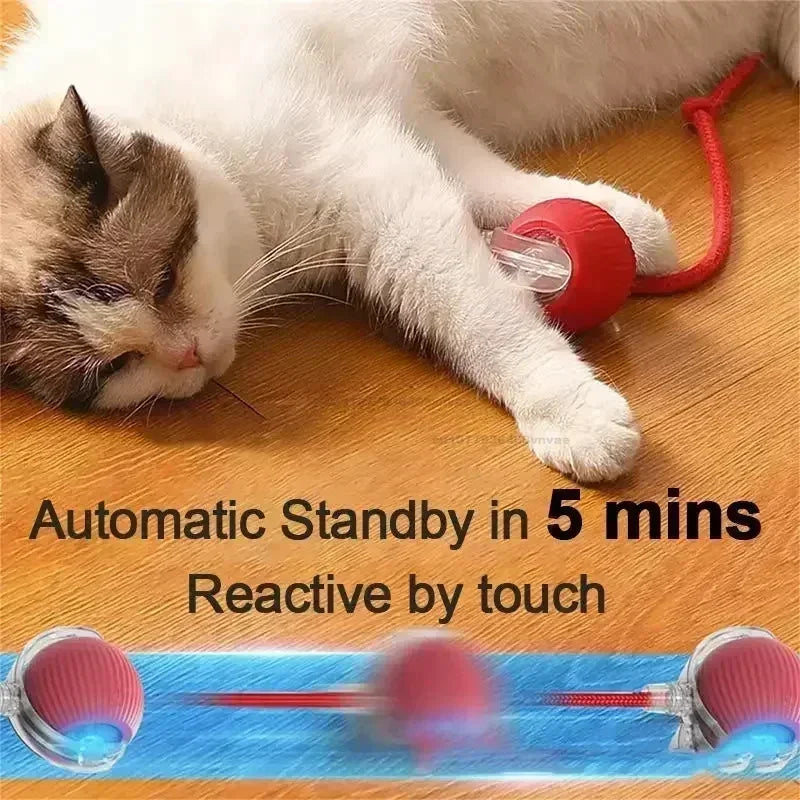 Cat Toys Interactive Ball Cat Accessories Interactive Cat Ball Kitten