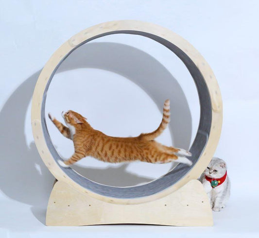 Cat Fitness Fun Roller
