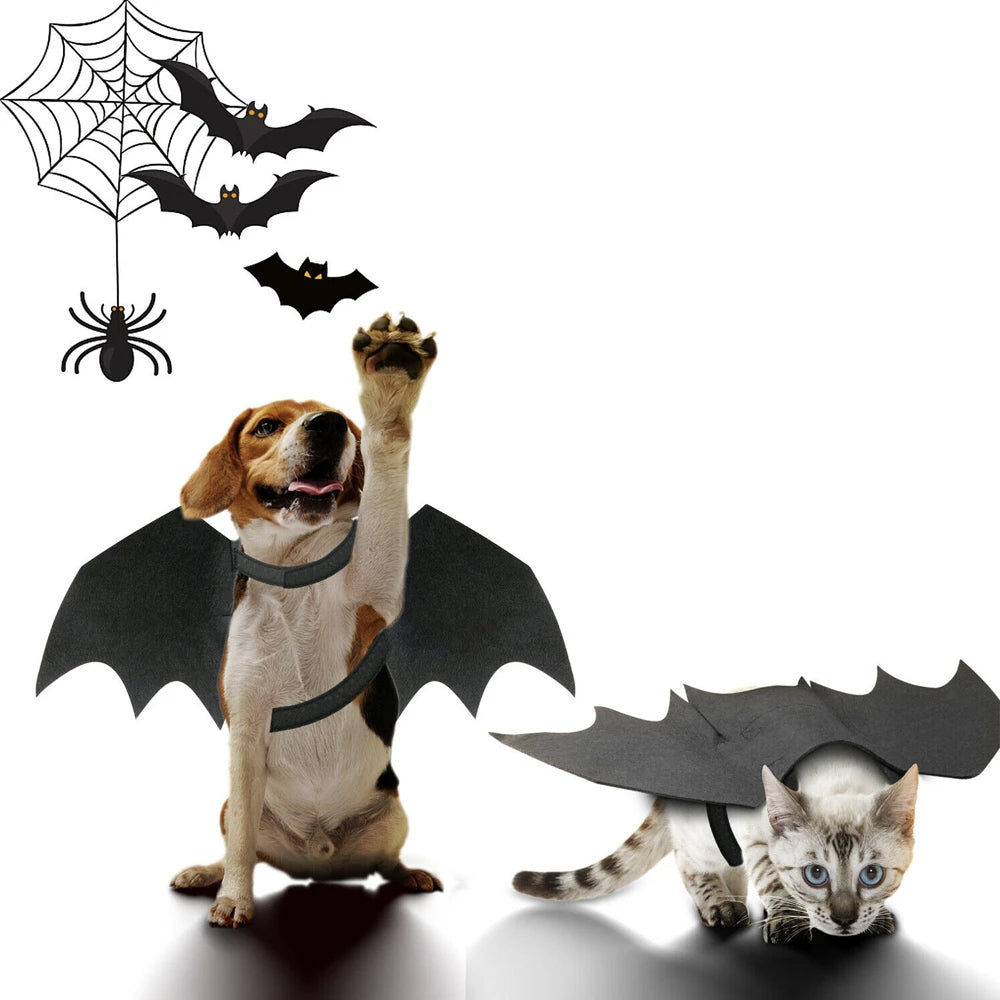 Bat Wings Pet Costume