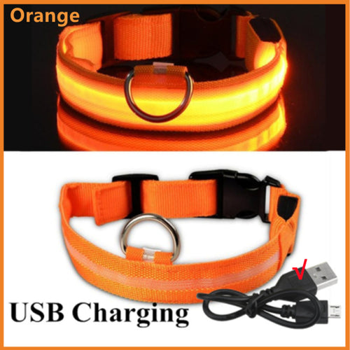 Led Glowing Dog Collar Adjustable Flashing Rechargea Luminous Collar