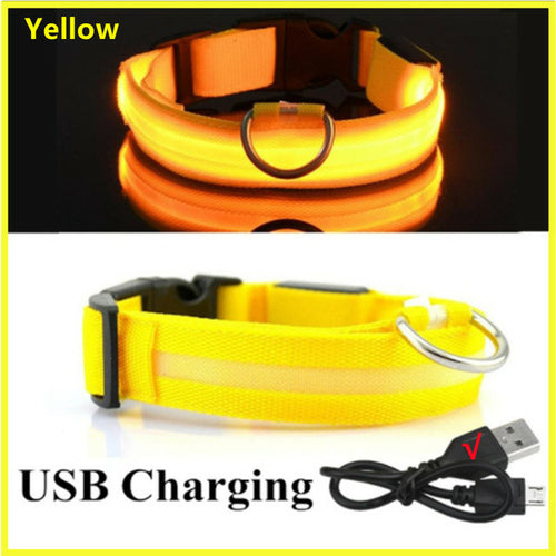 Led Glowing Dog Collar Adjustable Flashing Rechargea Luminous Collar