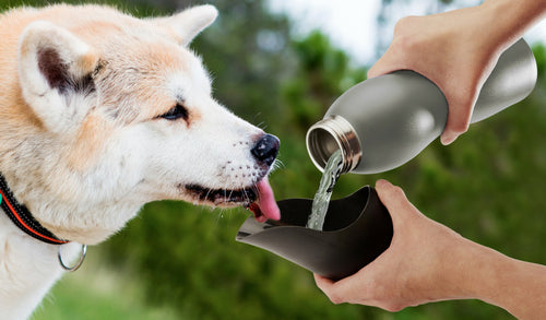 Mobile Dog Gear Water Bottle