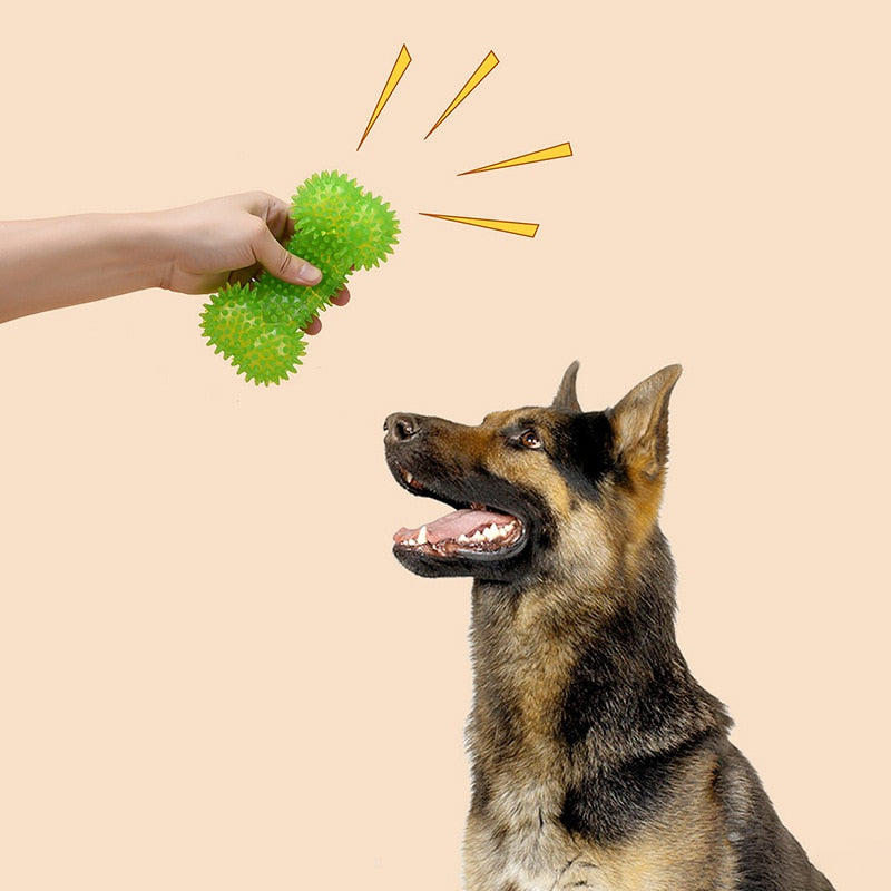 Pet Dog Toys Chew Squeaky Rubber Toys Funny Thorn Bones Shape TPR