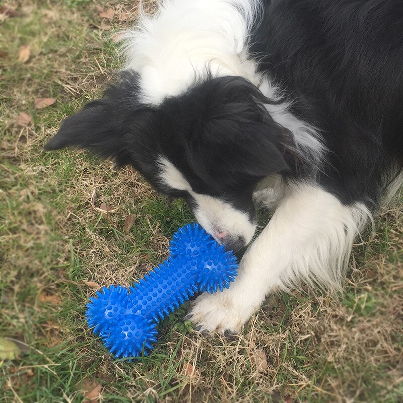 Pet Dog Toys Chew Squeaky Rubber Toys Funny Thorn Bones Shape TPR