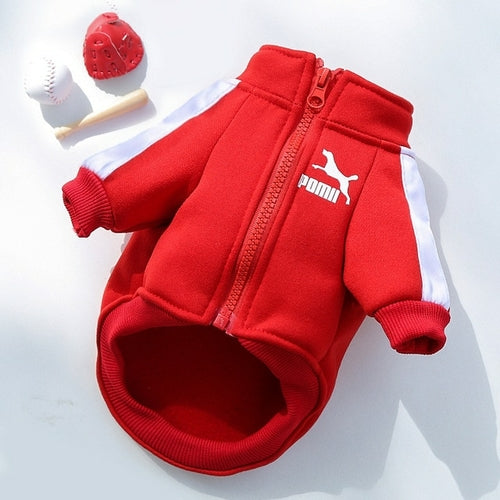 Winter Luxury Pet Dog Clothes Warm Dog Sweatshirt Small Medium-sized