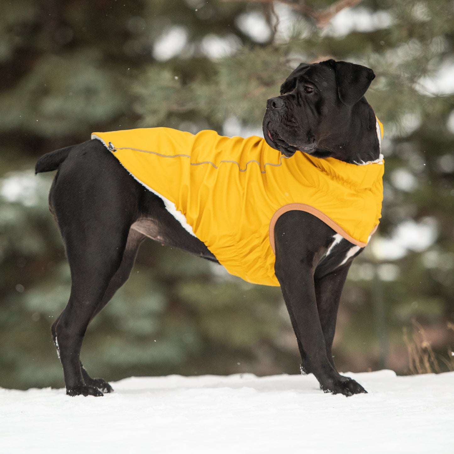 Insulated Raincoat - Yellow