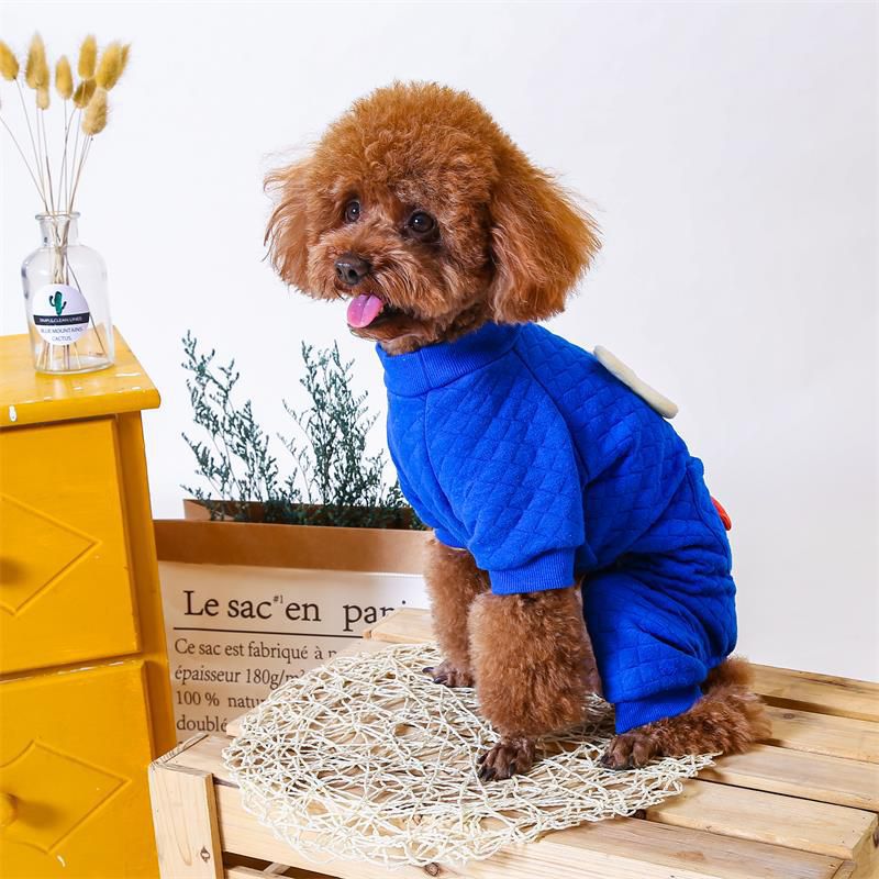 Padded Dog Onesie