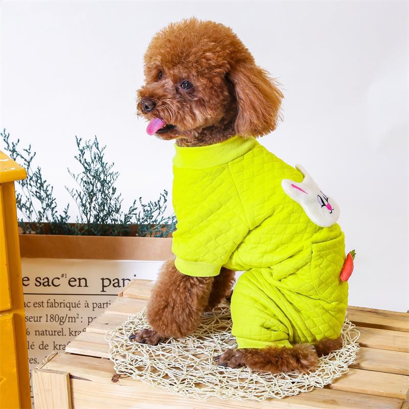 Padded Dog Onesie