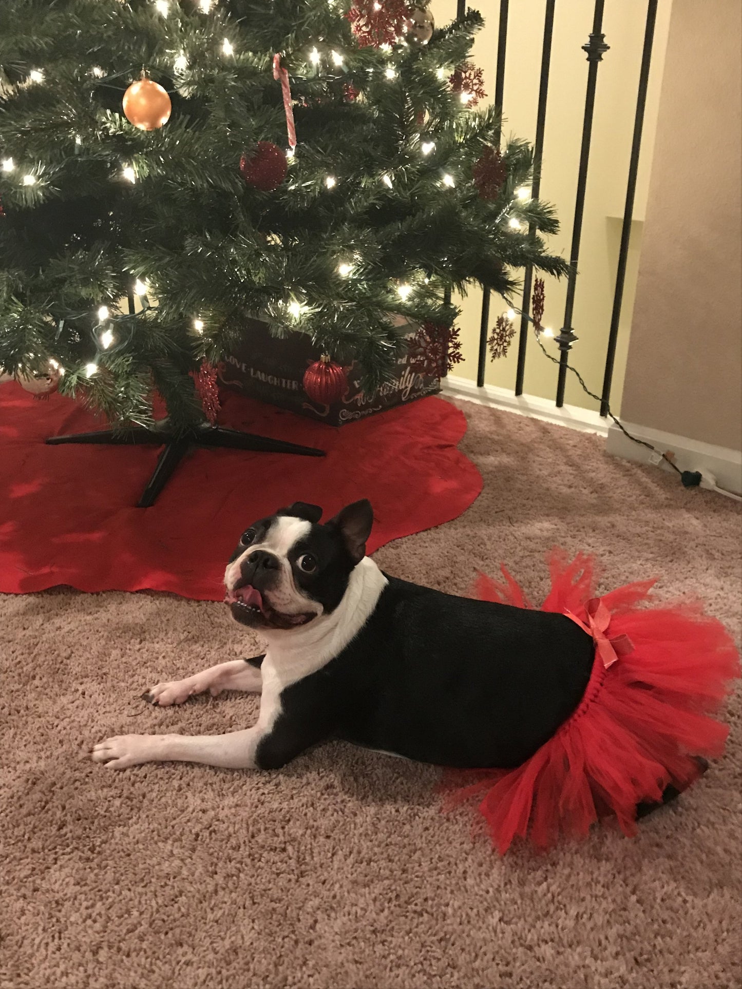 Red Dog Tutu Skirt | XS-XXXL