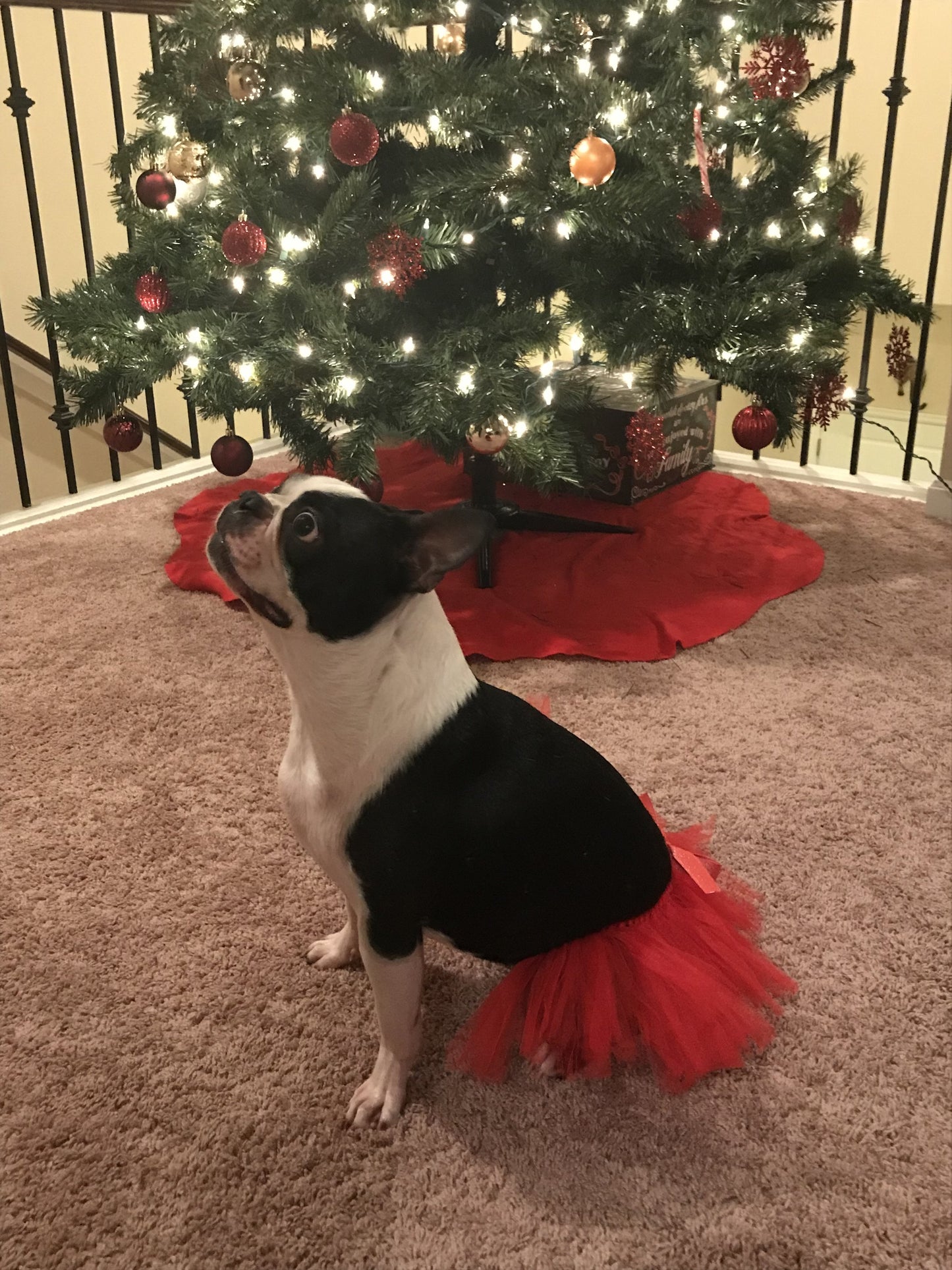 Red Dog Tutu Skirt | XS-XXXL