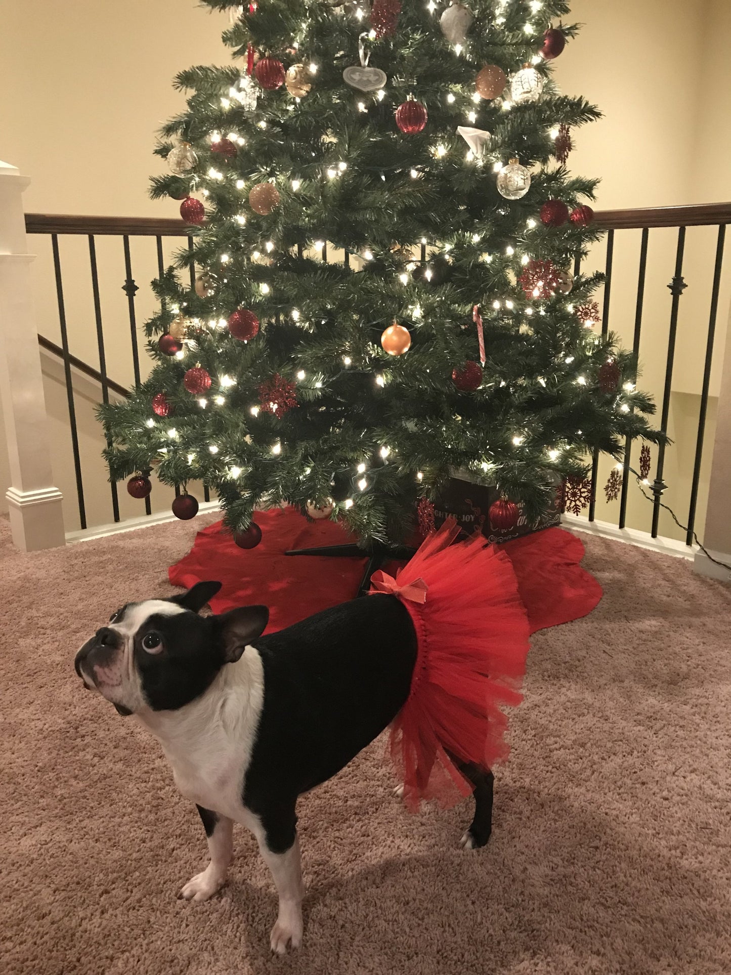 Red Dog Tutu Skirt | XS-XXXL