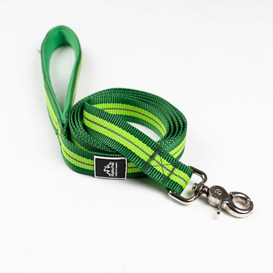 Appalachian Kiwi Green 6ft Flat Dog Leash - Small