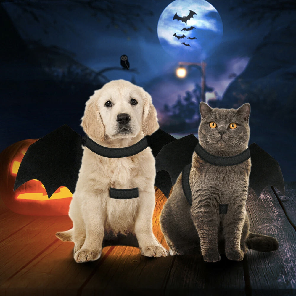 Bat Wings Pet Costume