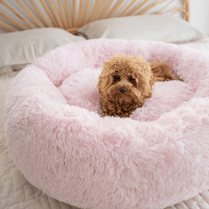 calming pet bed A4wish