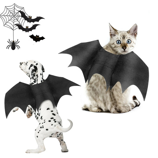 Bat Wings Pet Costume