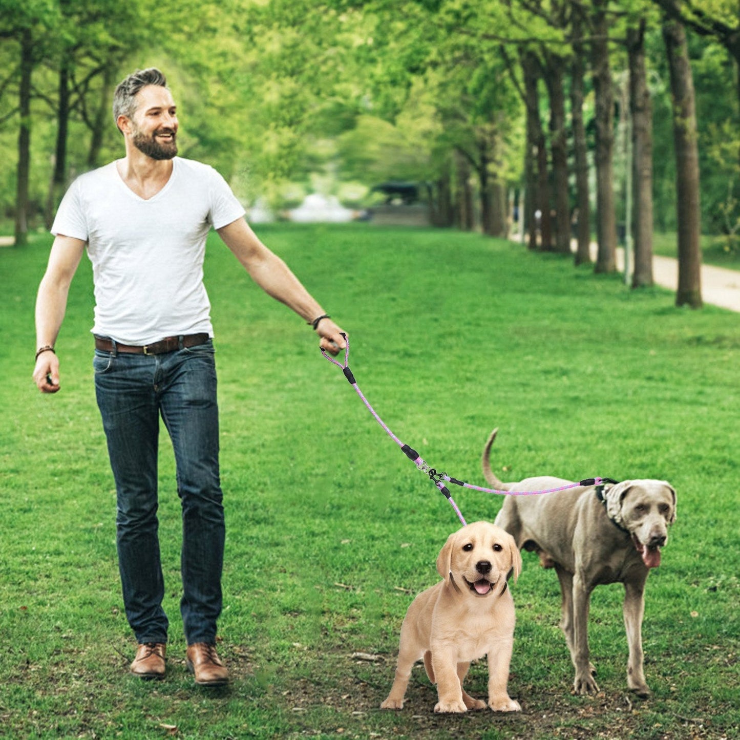 Double Dogs Leash No-Tangle Dogs Lead Reflective Dogs Walking Leash w/