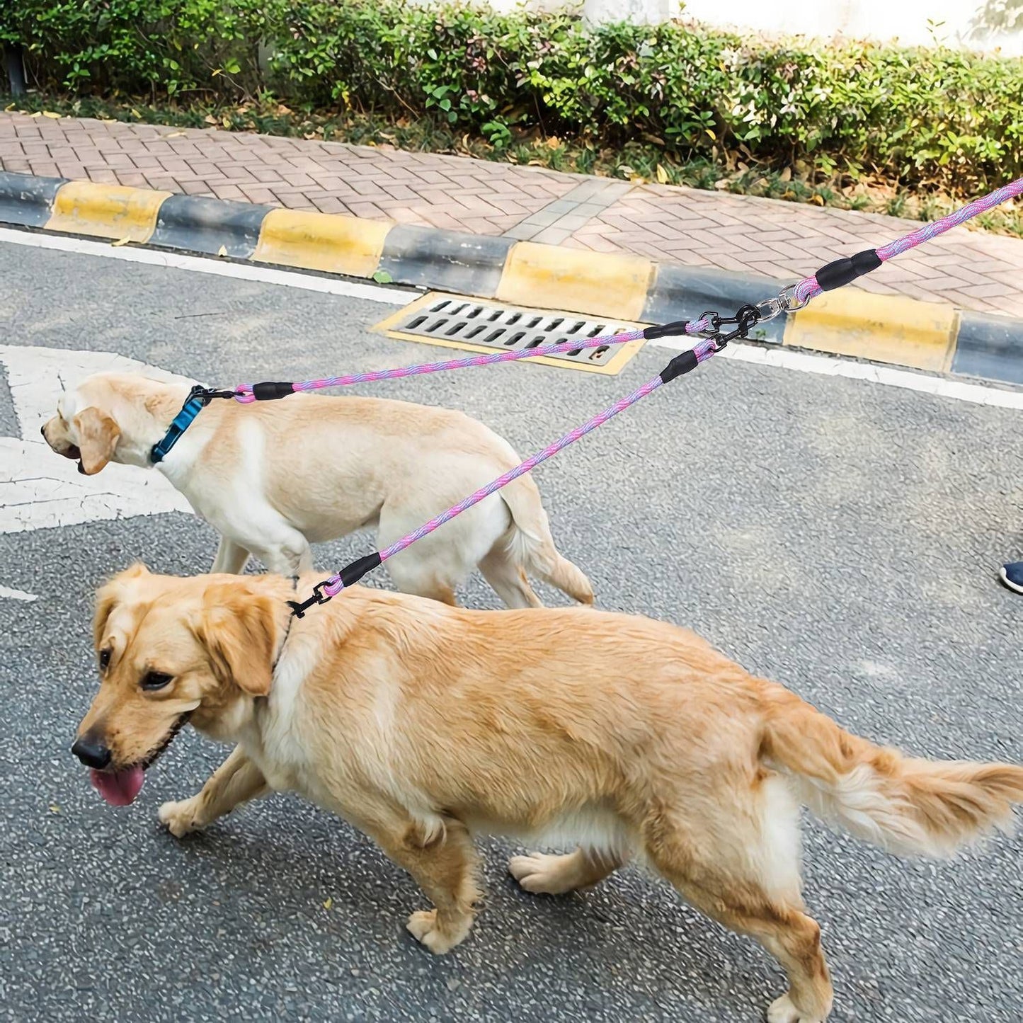 Double Dogs Leash No-Tangle Dogs Lead Reflective Dogs Walking Leash w/