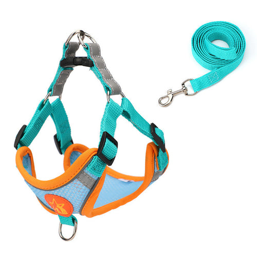 Reflective Small Dog Harness Set