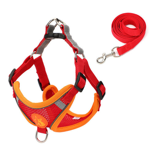 Reflective Small Dog Harness Set