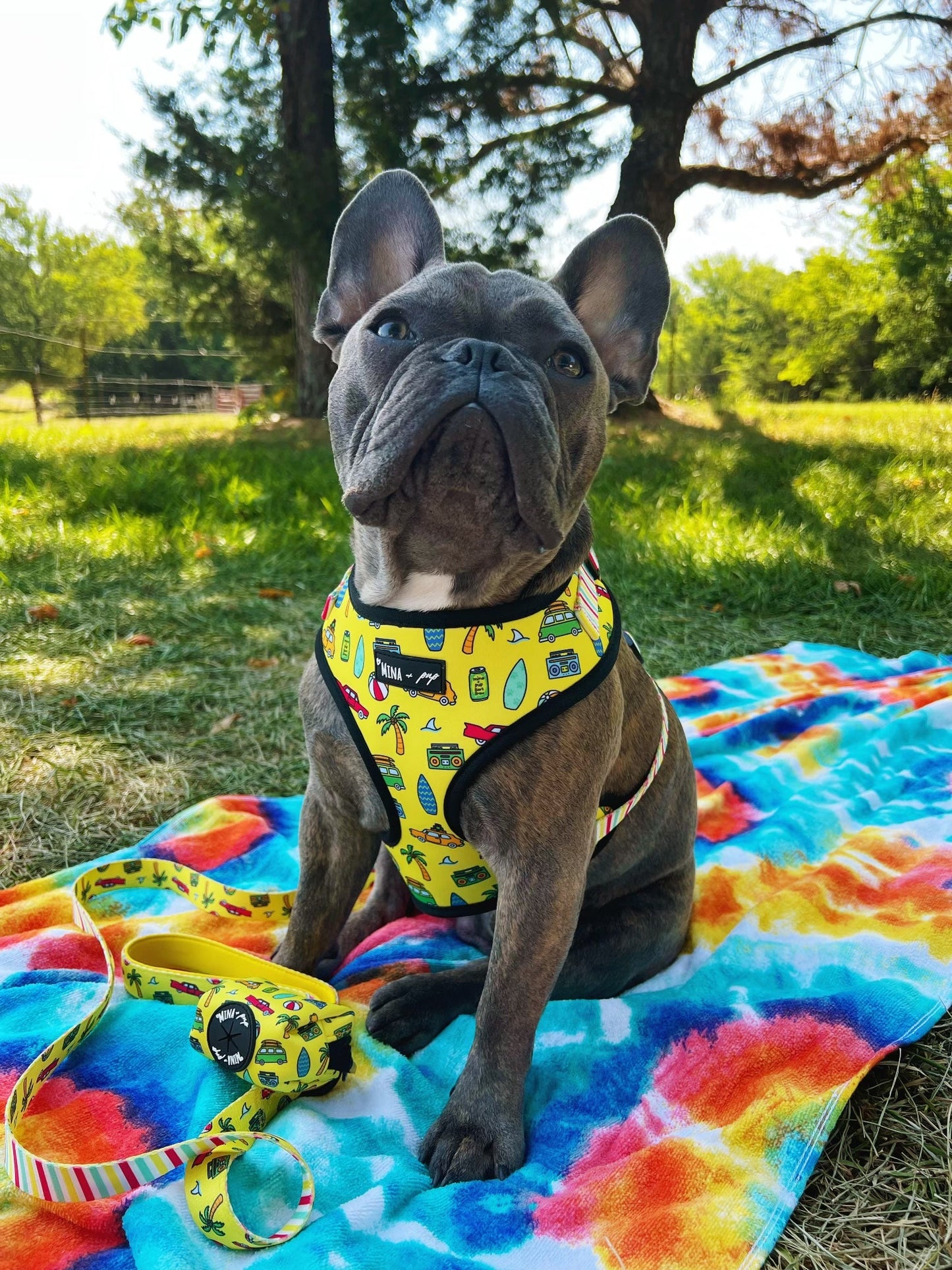 The Beach Bum Adjustable Dog or Cat Harness