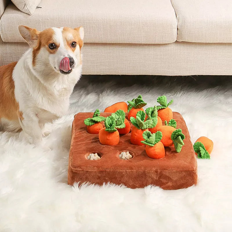 2023NEW Dog Toys Snuffle Mat for Pet Plush Carrot Toy Mat Innovative