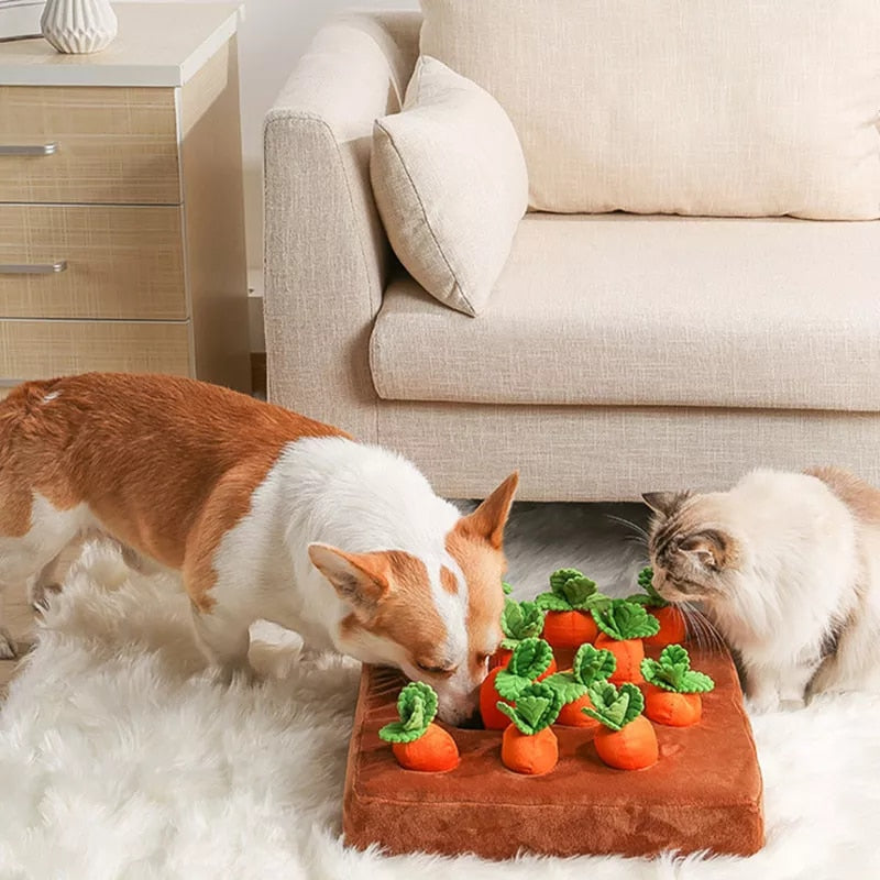 2023NEW Dog Toys Snuffle Mat for Pet Plush Carrot Toy Mat Innovative