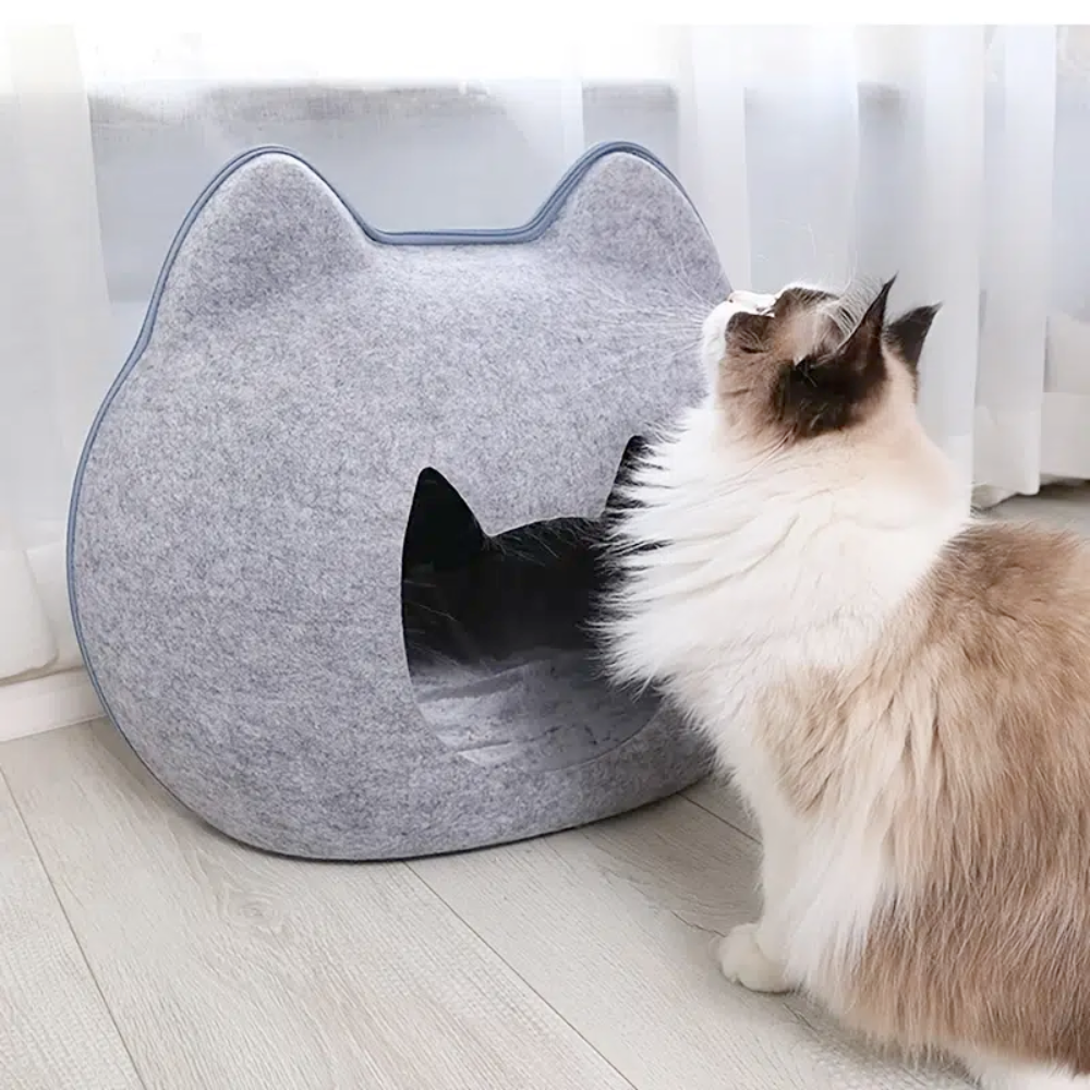 Adorable Cat Shape Pet House