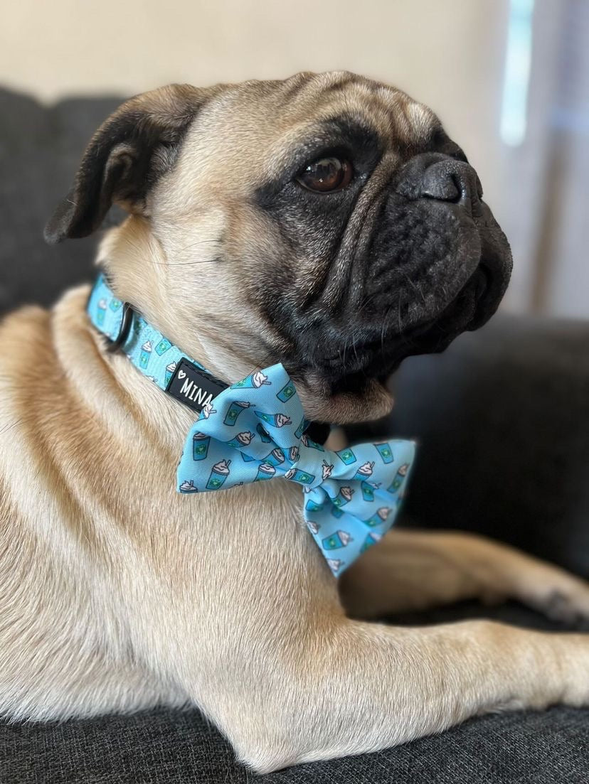 Pupshake Blue Bow Tie