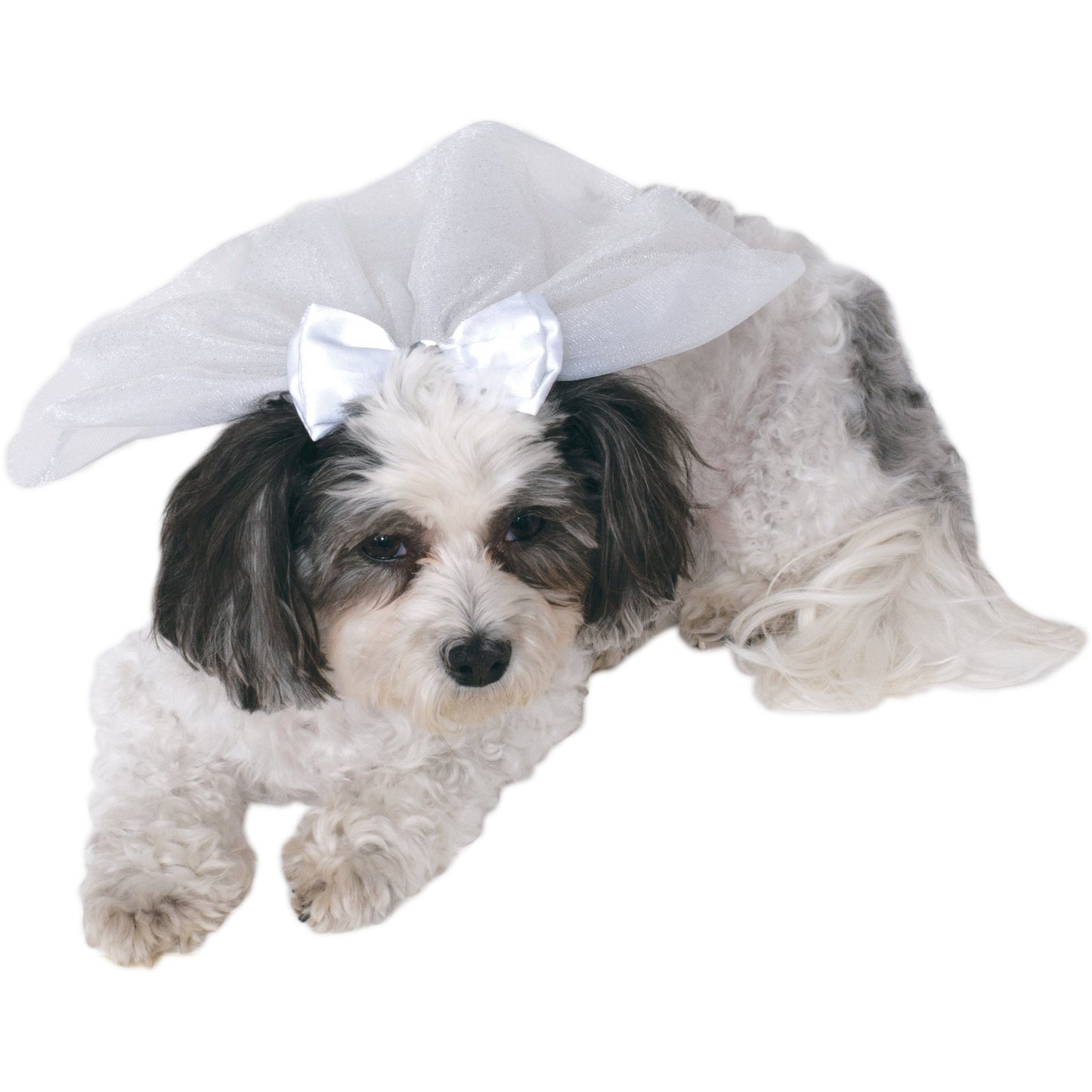 Wedding Pet Veil