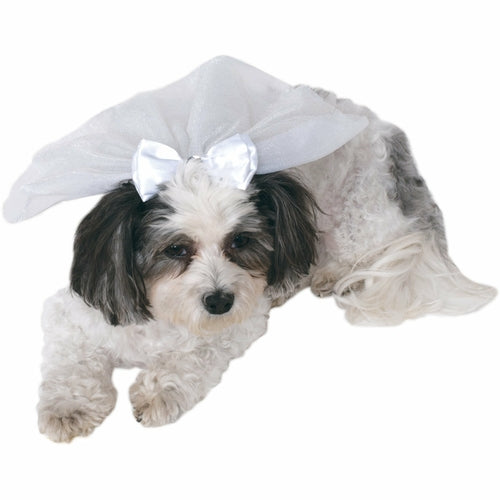 Wedding Pet Veil