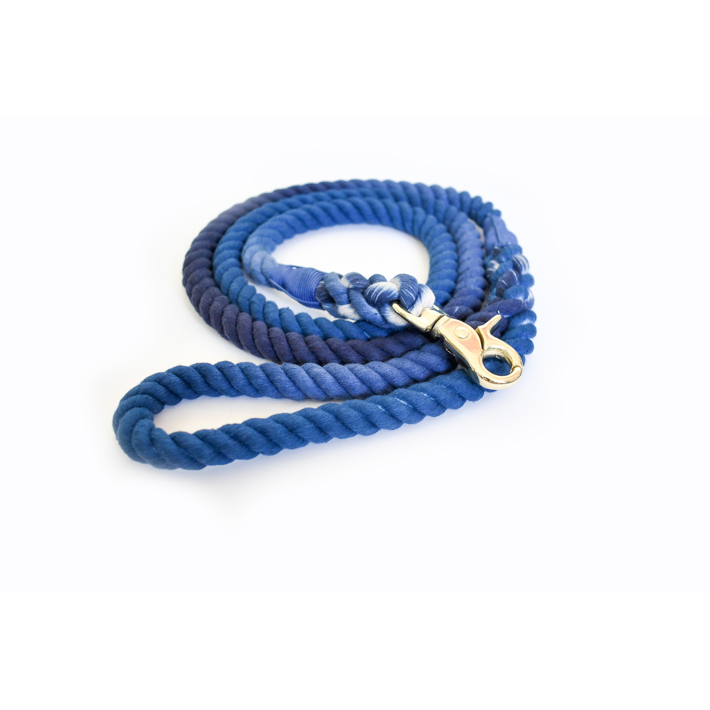 Blessed Blue - Dog Leash