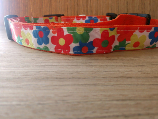 Collar/ Large/ Medium/ Multicolored Flowers on Orange