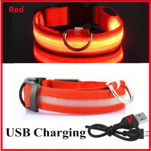 Led Glowing Dog Collar Adjustable Flashing Rechargea Luminous Collar