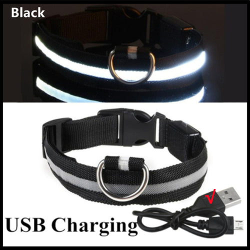 Led Glowing Dog Collar Adjustable Flashing Rechargea Luminous Collar
