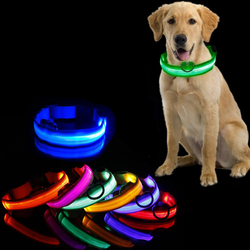 Led Dog Collar Light Anti lost Collar For Dogs Puppies  Night Luminous