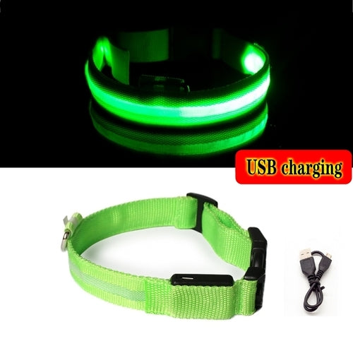 Led Dog Collar Light Anti lost Collar For Dogs Puppies  Night Luminous