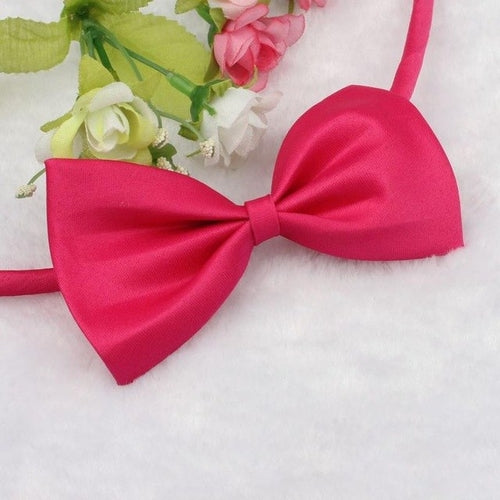 MUQGEW Lovely Pets hot selling Fashion Cute Dog