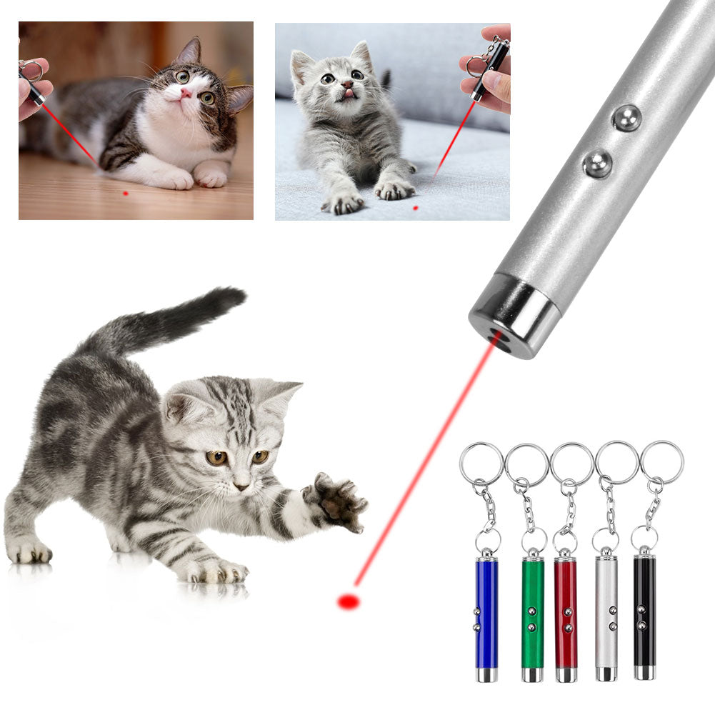 Mini Cat Dog Fun Pointer Red Light Laser Lazer Led Training Torch Pet