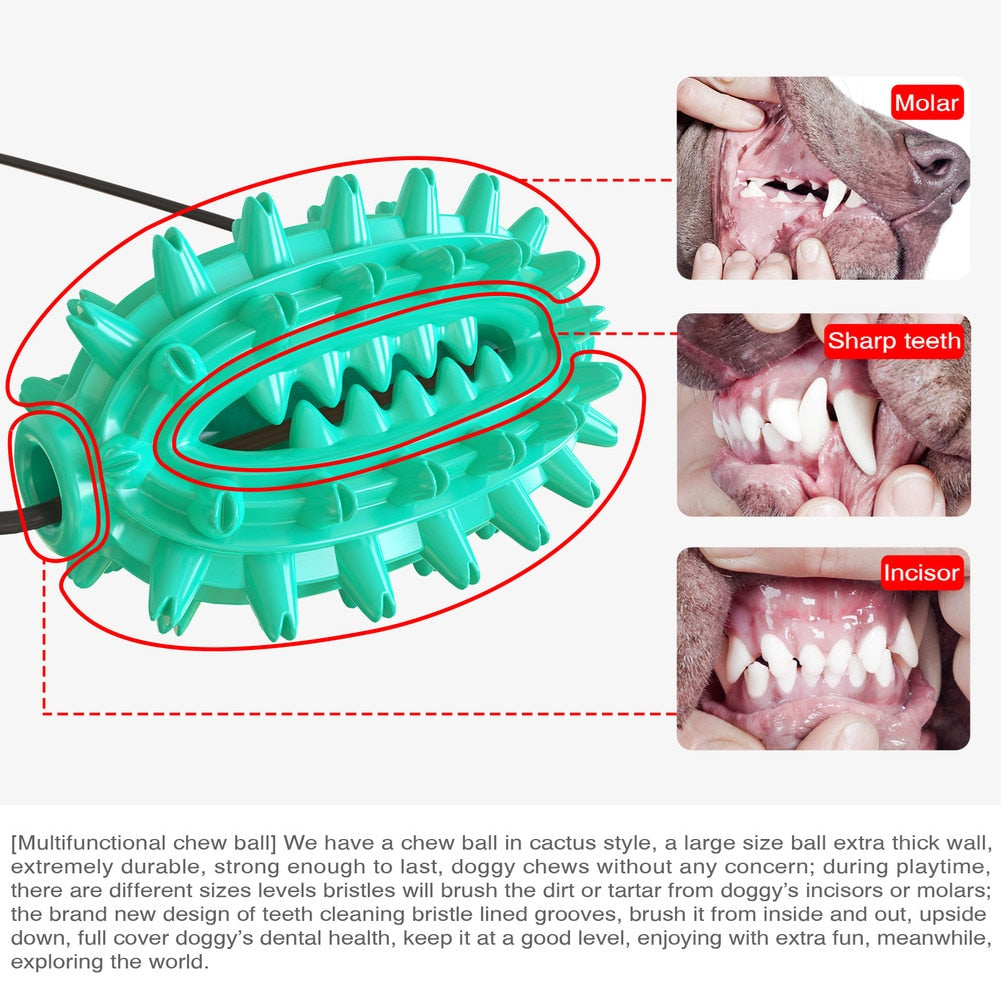 Multifunction Pet Chew Toys Dog Molar Bite Toy Upgraded Double Suction