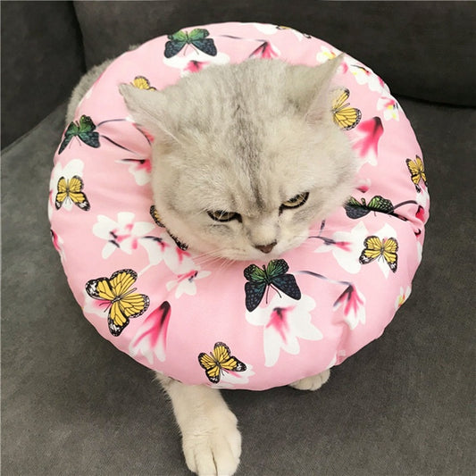 Cat Adjustable Recovery Cone