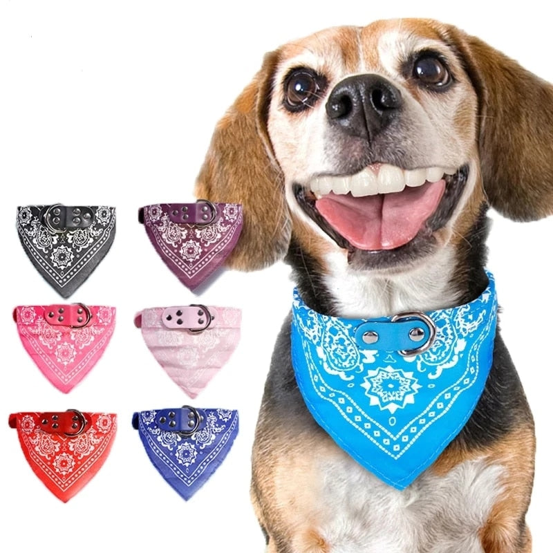 Pet Collars With Print Scarf Cute Adjustable Small Dog Collar