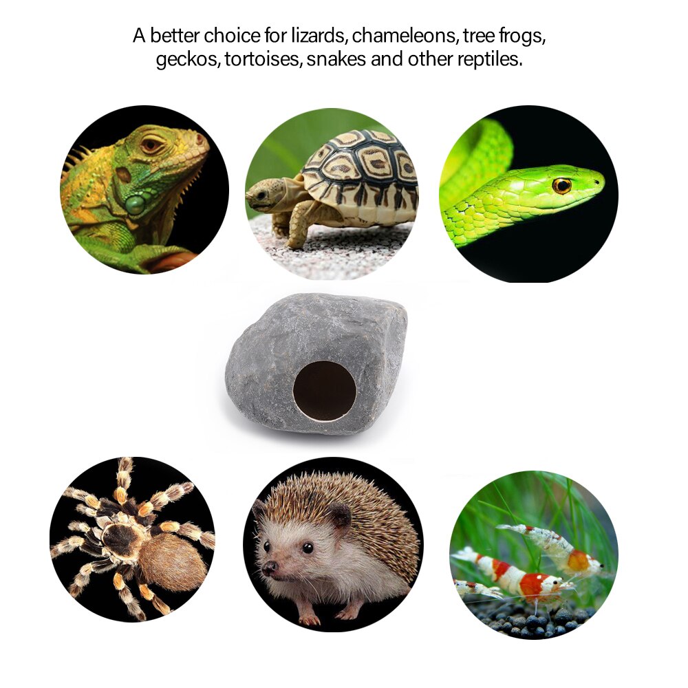 Reptile Shelter Hiding Cave Habitat for Lizards