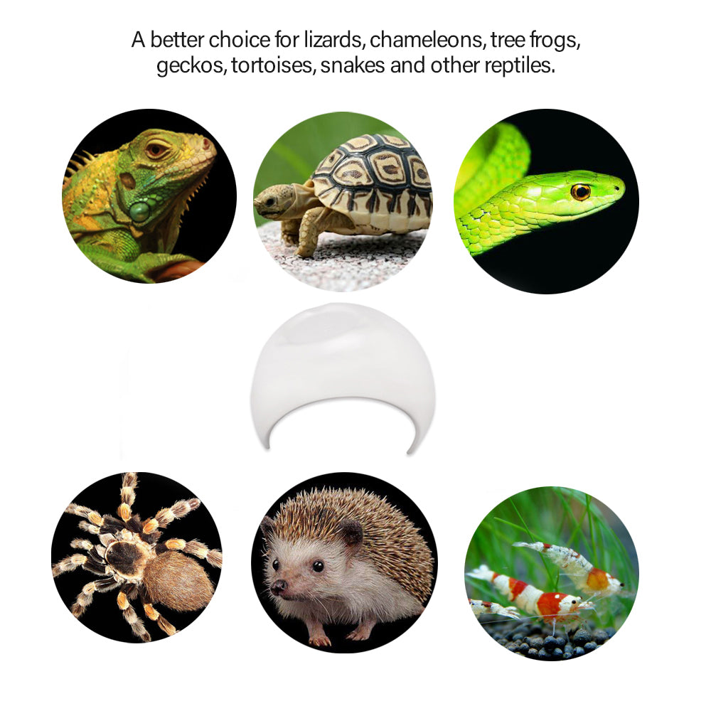 Reptile Shelter Hiding Cave Habitat for  Turtle