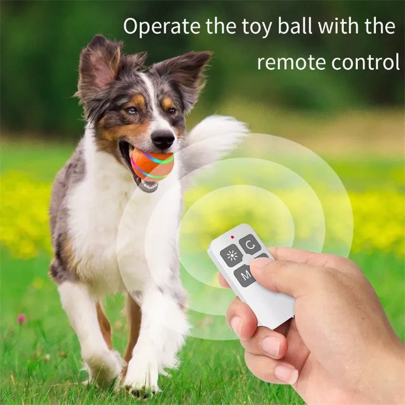 Smart Electric Dog Toy Ball With Led Flashing,pet Cats/dogs