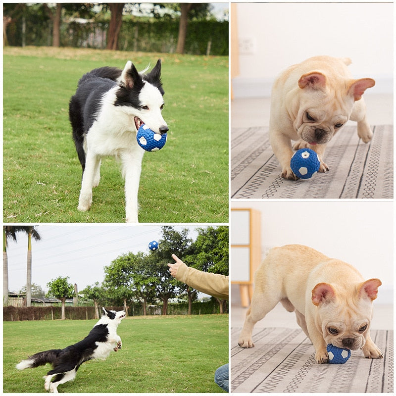 Squeaky Dog Rubber Toys Dog Ball Latex Dental Chew Toy Bite Resistant