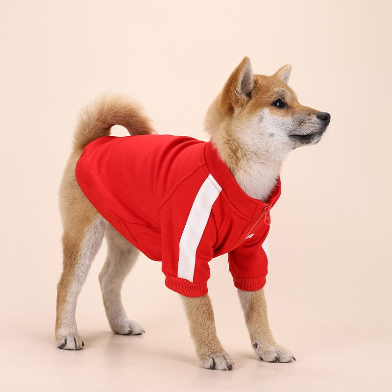 Winter Luxury Pet Dog Clothes Warm Dog Sweatshirt Small Medium-sized