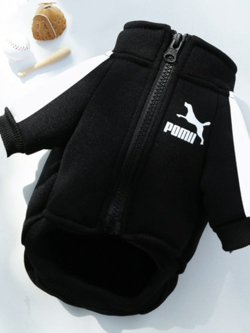 Winter Luxury Pet Dog Clothes Warm Dog Sweatshirt Small Medium-sized